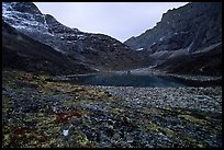 Aquarious Lake III. Gates of the Arctic National Park, Alaska, USA. (color)