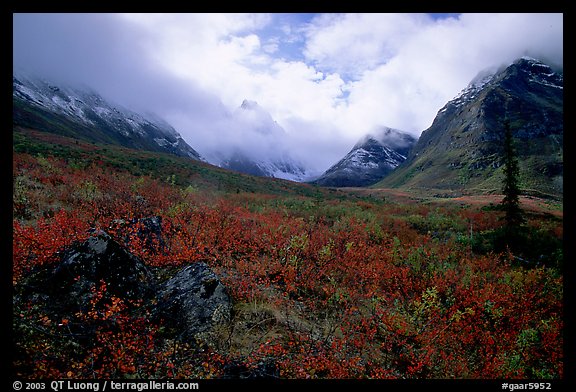 Arrigetch Peaks, tundra in fall colors, and clearing storm. Gates of the Arctic National Park (color)