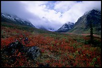 Arrigetch Peaks, tundra in fall colors, and clearing storm. Gates of the Arctic National Park, Alaska, USA.