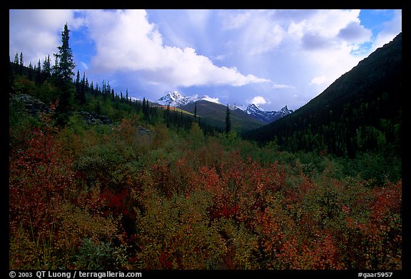 Distant Arrigetch Peaks seen from Arrigetch Creek. Gates of the Arctic National Park (color)