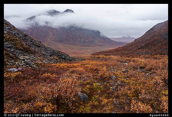 Autumn tundra and Kollutuk Mountain with low rain clouds. Gates of the Arctic National Park (color)