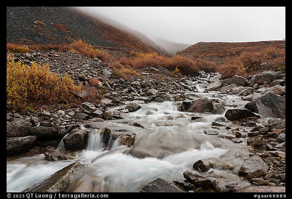 Inukpasugruk Creek tributary in autumn. Gates of the Arctic National Park, Alaska, USA.