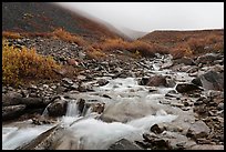 Inukpasugruk Creek tributary in autumn. Gates of the Arctic National Park ( color)