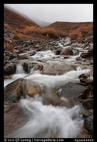 Creek cascading in autumn with misty hills. Gates of the Arctic National Park, Alaska, USA.