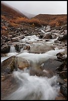 Creek cascading in autumn with misty hills. Gates of the Arctic National Park ( color)