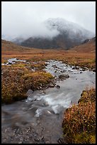 Tundra with creek and peak with fresh snow. Gates of the Arctic National Park ( color)
