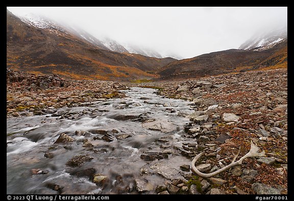 Antler, creek, and snowy peaks covered by clouds. Gates of the Arctic National Park, Alaska, USA.