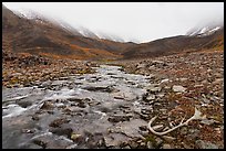 Antler, creek, and snowy peaks covered by clouds. Gates of the Arctic National Park ( color)