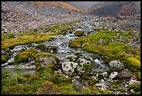 Stream and mosses. Gates of the Arctic National Park ( color)