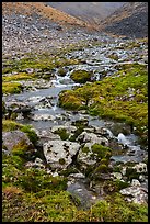 Stream flowing through rocks and mosses. Gates of the Arctic National Park ( color)