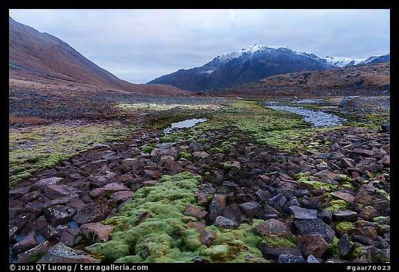 Field of angular rocks alternating with moss and snowy mountains. Gates of the Arctic National Park (color)