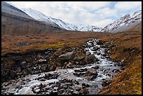 Stream and snowy mountains. Gates of the Arctic National Park ( color)