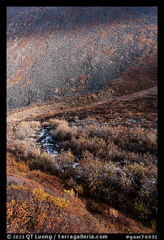 Stream, willows, and rocky slope. Gates of the Arctic National Park, Alaska, USA.