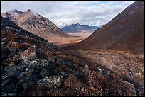 Rocky slope and Kollutuk Mountain in autumn. Gates of the Arctic National Park ( color)