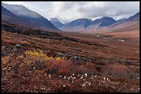 Inukpasugruk Valley in autumn. Gates of the Arctic National Park ( color)