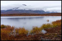 Pond and mountain above Anaktuvuk Pass, rain. Gates of the Arctic National Park ( color)