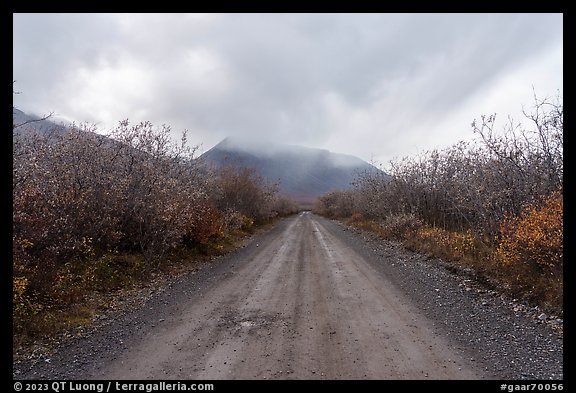 Road, Anaktuvuk Pass. Gates of the Arctic National Park, Alaska, USA.