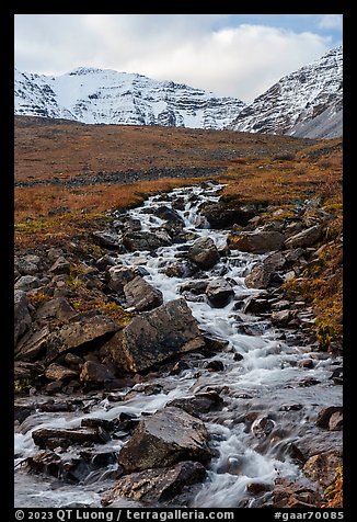 Stream and snowy peaks. Gates of the Arctic National Park, Alaska, USA.