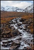 Stream and snowy peaks. Gates of the Arctic National Park ( color)