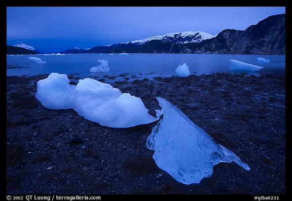 Icebergs near Mc Bride glacier, Muir inlet. Glacier Bay National Park