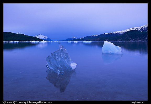 Translucent iceberg near Mc Bride glacier, Muir inlet. Glacier Bay National Park, Alaska, USA.