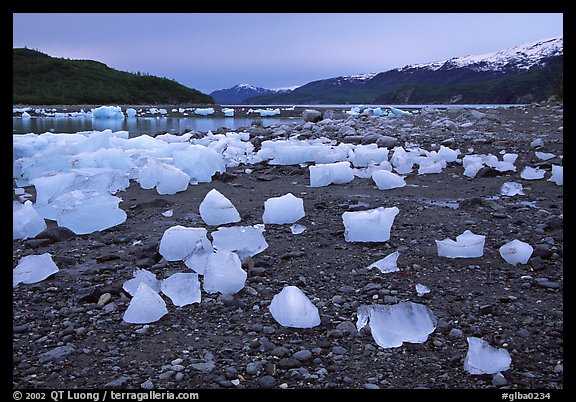 Icebergs near Mc Bride glacier, Muir inlet. Glacier Bay National Park