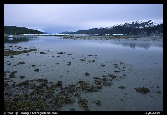 Mud flats near Mc Bride glacier, Muir inlet. Glacier Bay National Park