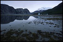 Mud flats above White Thunder ridge, Muir inlet. Glacier Bay National Park, Alaska, USA. (color)