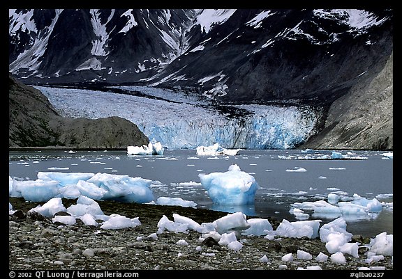 Mc Bride glacier, Muir inlet. Glacier Bay National Park, Alaska, USA.