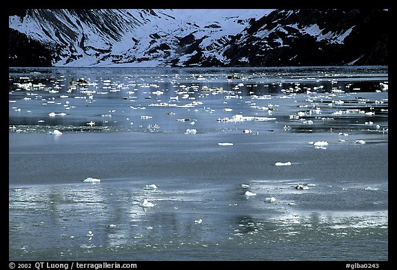 Icebergs and reflections, West arm. Glacier Bay National Park, Alaska, USA.