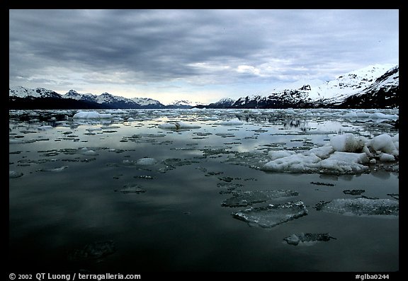 Ice-choked waters, West arm. Glacier Bay National Park (color)