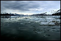 Ice-choked waters, West arm. Glacier Bay National Park, Alaska, USA. (color)