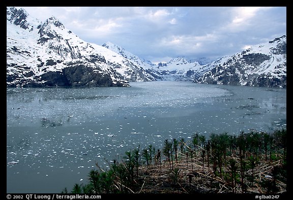 John Hopkins inlet. Glacier Bay National Park