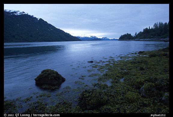 Charpentier inlet. Glacier Bay National Park