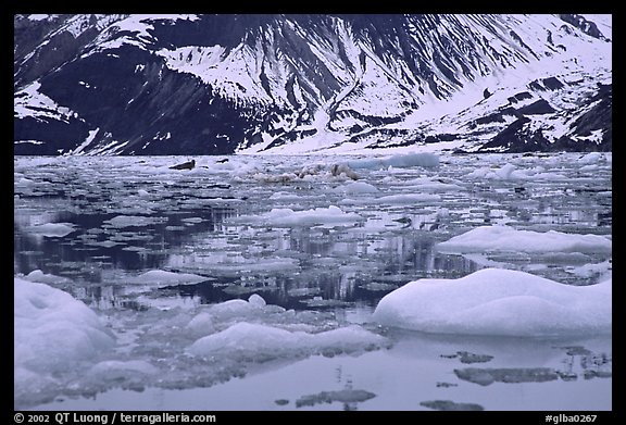 Ice-chocked waters in John Hopkins inlet. Glacier Bay National Park, Alaska, USA.