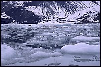 Ice-chocked waters in John Hopkins inlet. Glacier Bay National Park, Alaska, USA. (color)