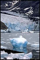 Mc Bride glacier. Glacier Bay National Park, Alaska, USA. (color)