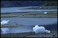 Icebergs and mud flats near Mc Bride glacier. Glacier Bay National Park, Alaska, USA.