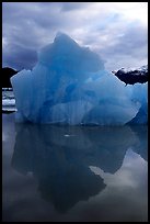 Blue iceberg, Mc Bride inlet. Glacier Bay National Park ( color)