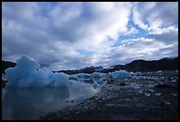 Iceberg, Mc Bride inlet. Glacier Bay National Park ( color)