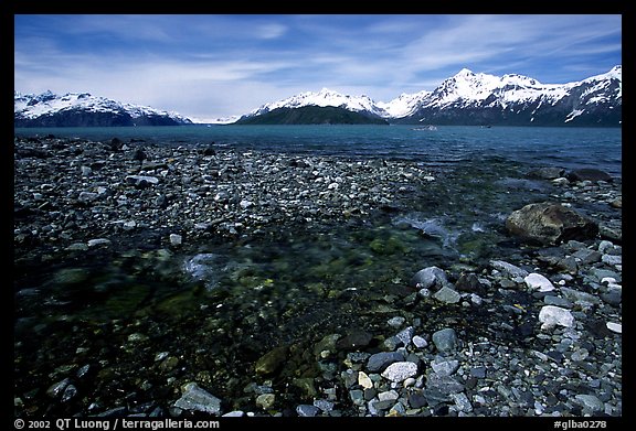 Stream and West arm. Glacier Bay National Park, Alaska, USA.