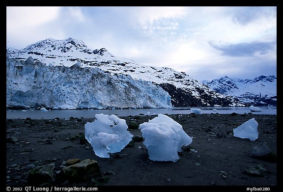 Lamplugh glacier and Mt Cooper. Glacier Bay National Park