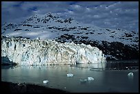 Lamplugh tidewater glacier and Mt Cooper. Glacier Bay National Park, Alaska, USA. (color)