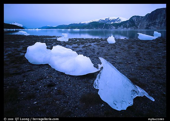 Icebergs near Mc Bride glacier, Muir inlet. Glacier Bay National Park, Alaska, USA.