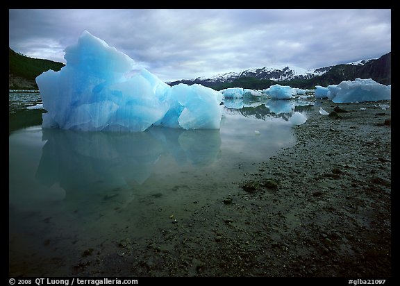 Blue icebergs beached near Mc Bride Glacier. Glacier Bay National Park, Alaska, USA.
