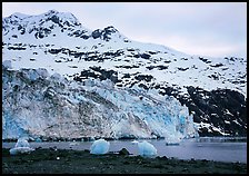 Lamplugh glacier and Mt Cooper. Glacier Bay National Park, Alaska, USA. (color)