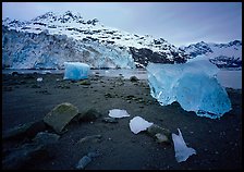 Beach, translucent iceberg, Lamplugh Glacier. Glacier Bay National Park, Alaska, USA. (color)