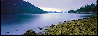 Moss-covered rocks in fjord. Glacier Bay National Park, Alaska, USA.