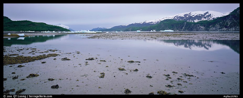 Tidal flat with icebergs in the distance. Glacier Bay National Park, Alaska, USA.