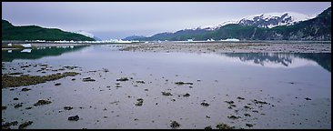 Tidal flat with icebergs in the distance. Glacier Bay National Park (Panoramic color)